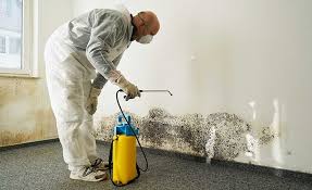 Mold Documentation for Insurance Claims in Cottage Grove, WI