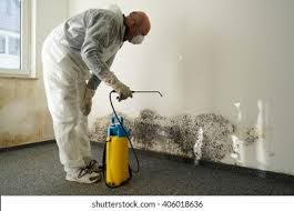 Best Mold Remediation for Healthcare Facilities  in Cottage Grove, WI